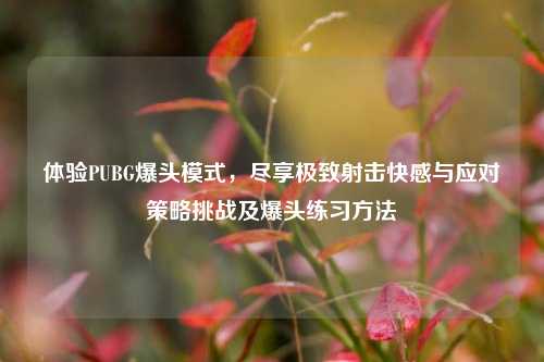 体验PUBG爆头模式，尽享极致射击 *** 与应对策略挑战及爆头练习 *** 