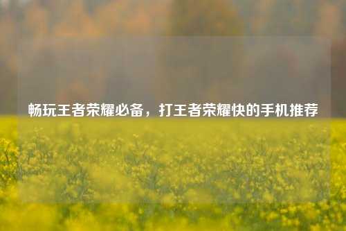 畅玩王者荣耀必备，打王者荣耀快的手机推荐