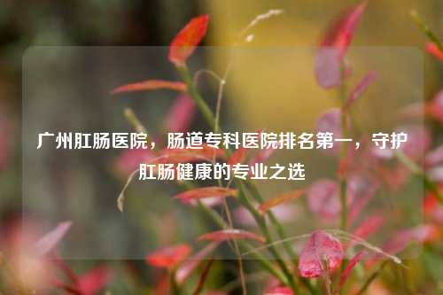 广州肛肠医院，肠道专科医院排名之一，守护肛肠健康的专业之选