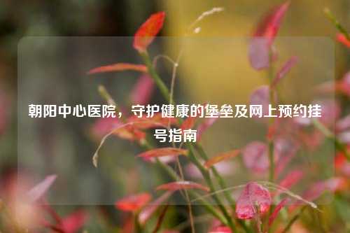 朝阳中心医院，守护健康的堡垒及网上预约挂号指南