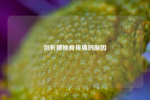 剖析腰椎骨疼痛的原因