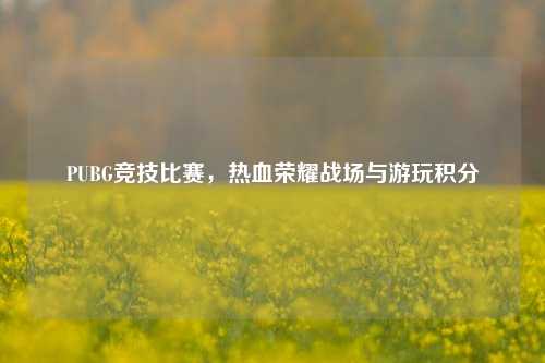 PUBG竞技比赛，热血荣耀战场与游玩积分