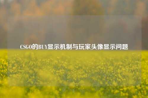 CSGO的BUY显示机制与玩家头像显示问题