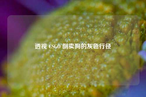 透视 CSGO 倒卖狗的灰色行径