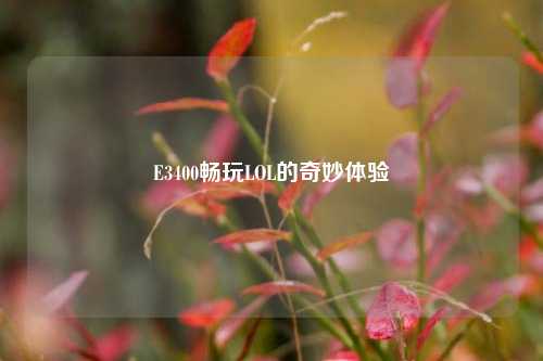E3400畅玩LOL的奇妙体验