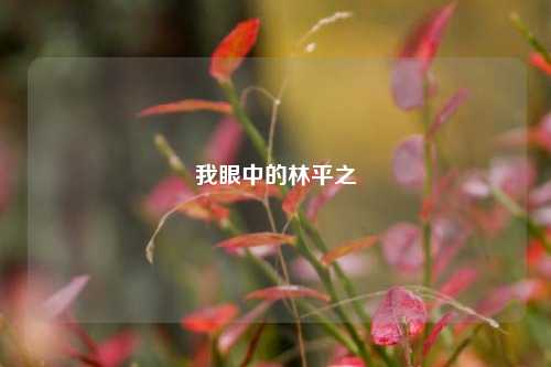 我眼中的林平之