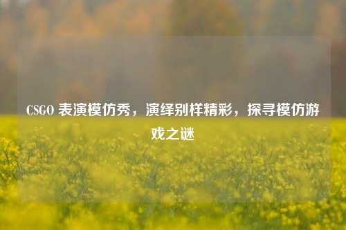 CSGO 表演模仿秀，演绎别样精彩，探寻模仿游戏之谜