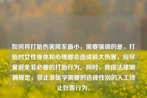 如何将打胎伤害降至最小，需要强调的是，打胎对女性身体和心理都会造成极大伤害，应尽量避免非必要的打胎行为。同时，我国法律明确规定，禁止非医学需要的选择性别的人工终止妊娠行为。