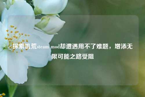 探索饥荒steam mod却遭遇用不了难题，增添无限可能之路受阻