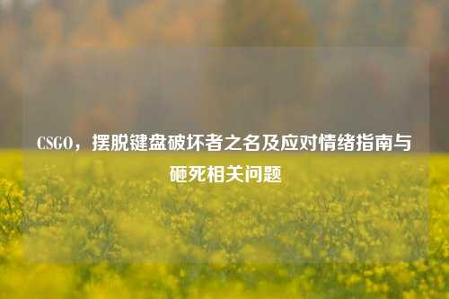 CSGO，摆脱键盘破坏者之名及应对情绪指南与砸死相关问题