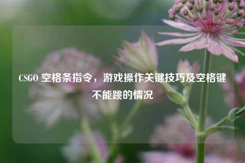 CSGO 空格条指令，游戏操作关键技巧及空格键不能跳的情况