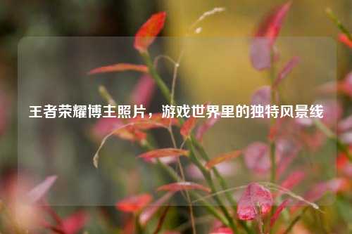 王者荣耀博主照片，游戏世界里的独特风景线