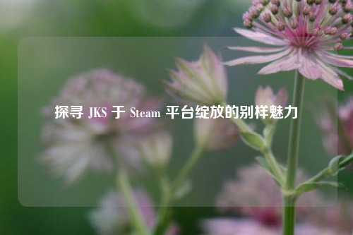 探寻 JKS 于 Steam 平台绽放的别样魅力