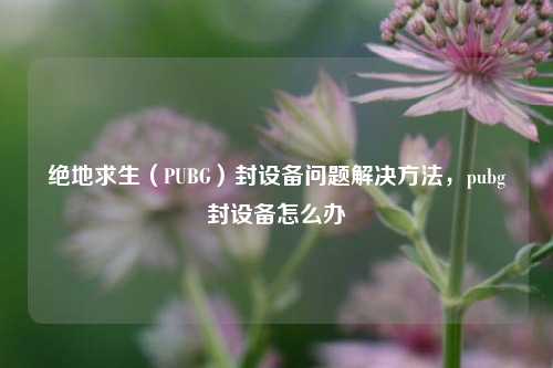 绝地求生（PUBG）封设备问题解决 *** ，pubg封设备怎么办