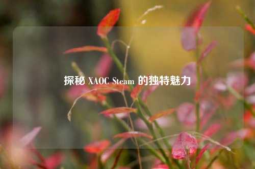 探秘 XAOC Steam 的独特魅力