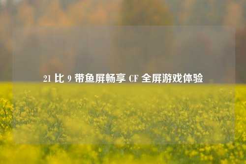 21 比 9 带鱼屏畅享 CF 全屏游戏体验