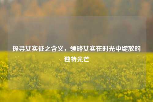 探寻女实征之含义，领略女实在时光中绽放的独特光芒