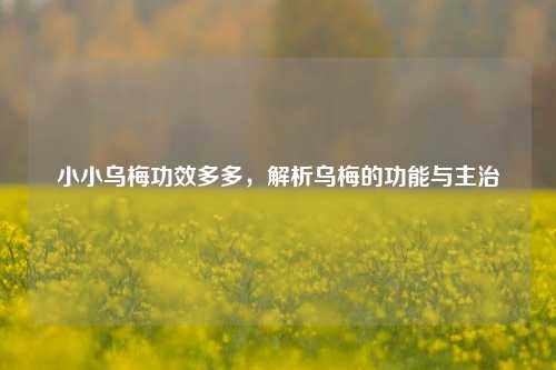 小小乌梅功效多多，解析乌梅的功能与主治
