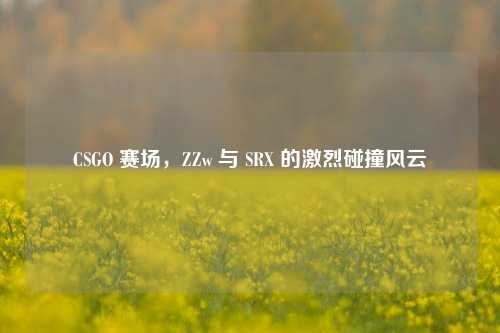 CSGO 赛场，ZZw 与 SRX 的激烈碰撞风云