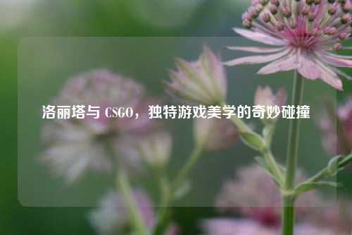 洛丽塔与 CSGO，独特游戏美学的奇妙碰撞