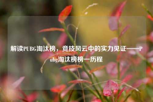 解读PUBG淘汰榜，竞技风云中的实力见证——Pubg淘汰榜榜一历程