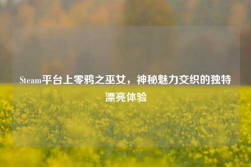 Steam平台上零鸦之巫女，神秘魅力交织的独特漂亮体验