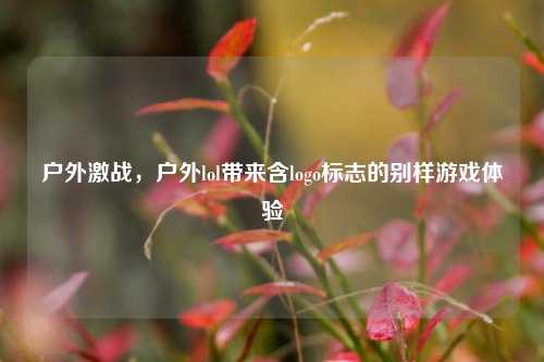 户外激战，户外lol带来含logo标志的别样游戏体验