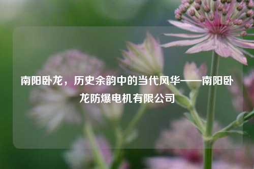 南阳卧龙，历史余韵中的当代风华——南阳卧龙防爆电机有限公司