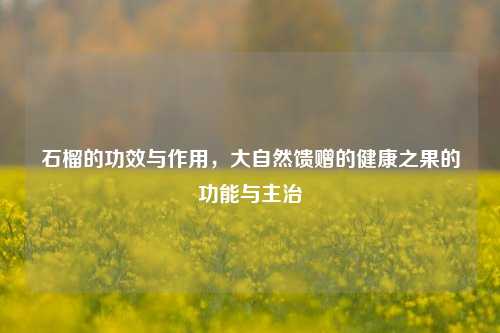 石榴的功效与作用，大自然馈赠的健康之果的功能与主治