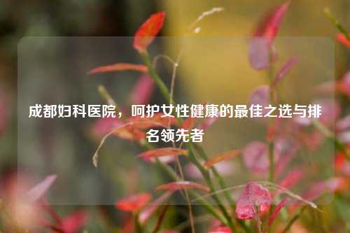 成都妇科医院，呵护女性健康的更佳之选与排名领先者