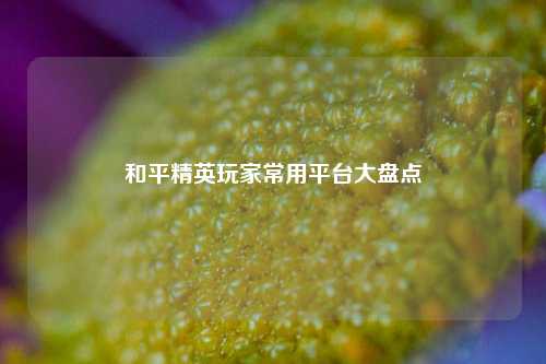 和平精英玩家常用平台大盘点