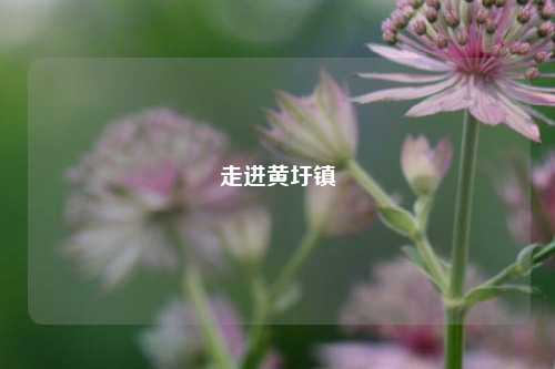 走进黄圩镇