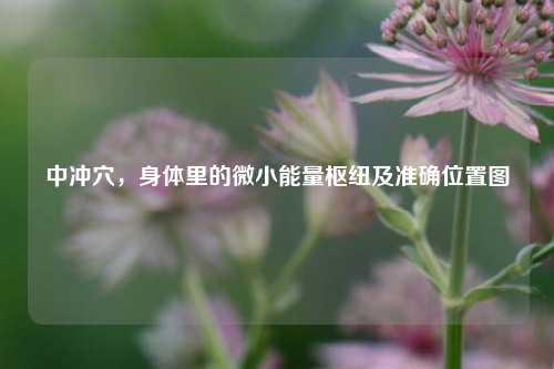 中冲穴，身体里的微小能量枢纽及准确位置图