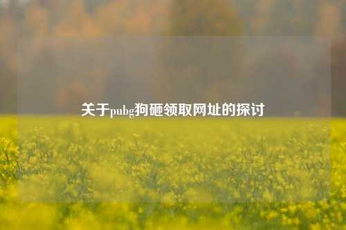 关于pubg狗砸领取网址的探讨