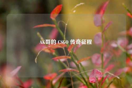 AK哥的 CSGO 传奇征程