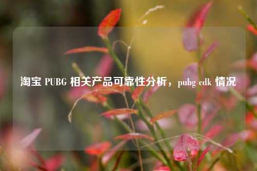  ***  PUBG 相关产品可靠性分析，pubg cdk 情况