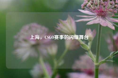上海，CSGO赛事的闪耀舞台