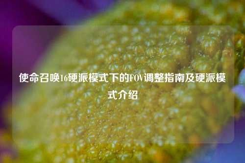 使命召唤16硬派模式下的FOV调整指南及硬派模式介绍