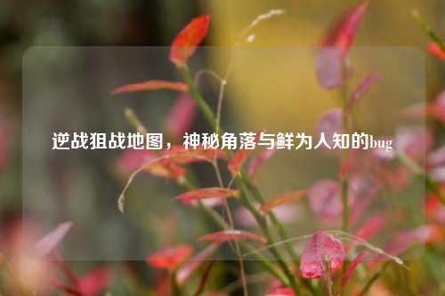 逆战狙战地图，神秘角落与鲜为人知的bug