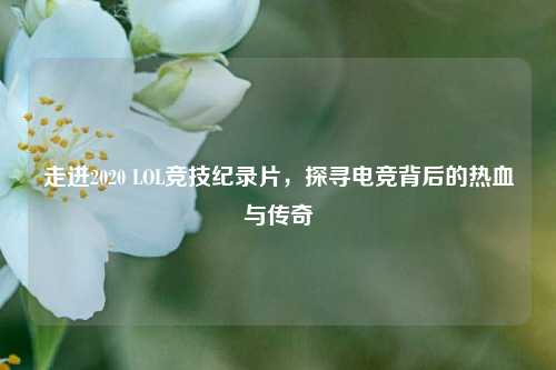 走进2020 LOL竞技纪录片，探寻电竞背后的热血与传奇