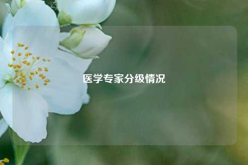 医学专家分级情况