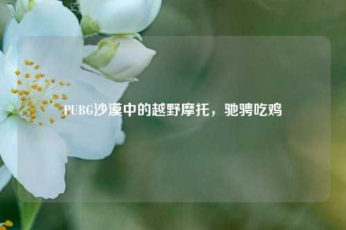 PUBG沙漠中的越野摩托，驰骋吃鸡