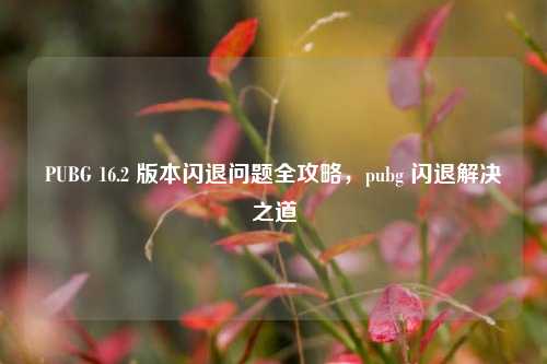 PUBG 16.2 版本闪退问题全攻略，pubg 闪退解决之道