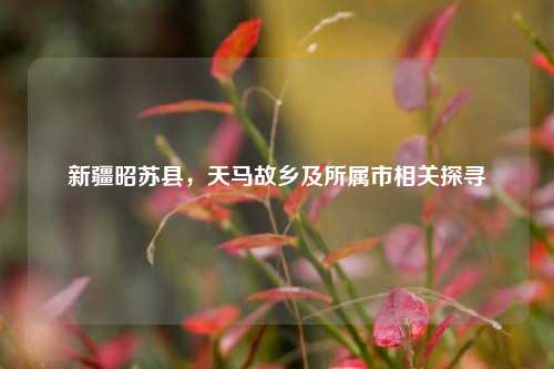 新疆昭苏县，天马故乡及所属市相关探寻