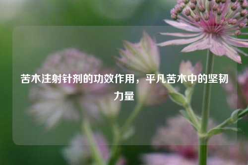 苦木注射针剂的功效作用，平凡苦木中的坚韧力量