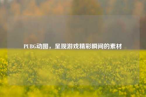 PUBG动图，呈现游戏精彩瞬间的素材