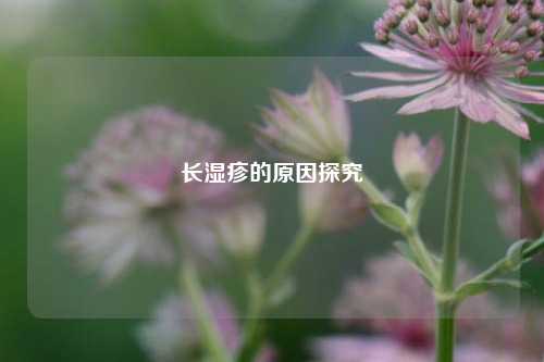 长湿疹的原因探究