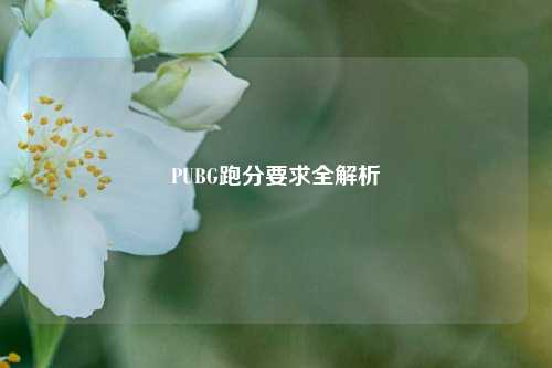 PUBG跑分要求全解析