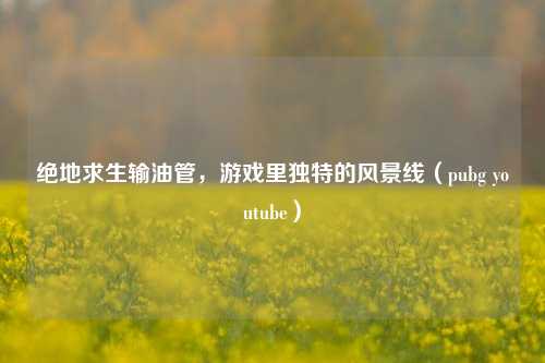绝地求生输油管，游戏里独特的风景线（pubg  *** ）