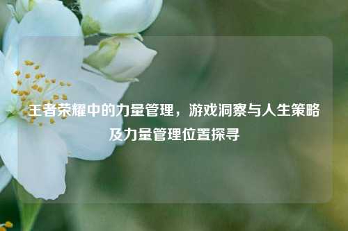 王者荣耀中的力量管理，游戏洞察与人生策略及力量管理位置探寻